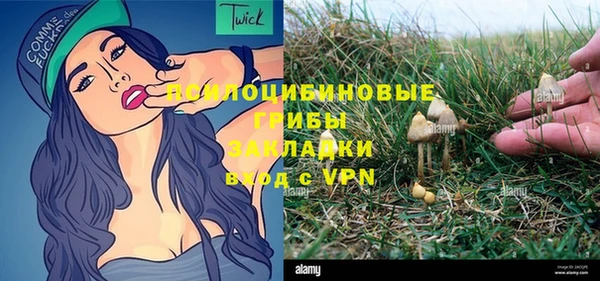 прущий лед Козельск