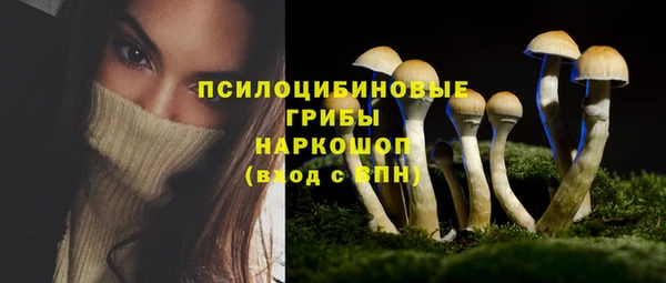 прущий лед Козельск