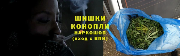 сатива Козловка