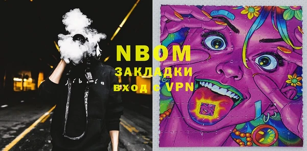 сатива Козловка