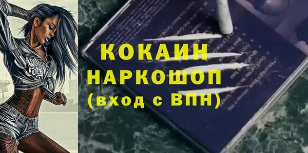 сатива Козловка