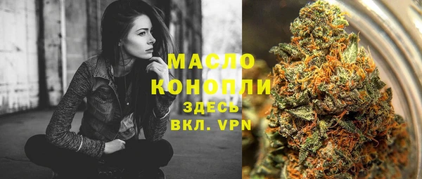 сатива Козловка