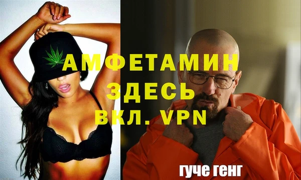 сатива Козловка
