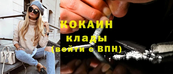 сатива Козловка