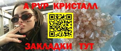 хмурый Сланцы
