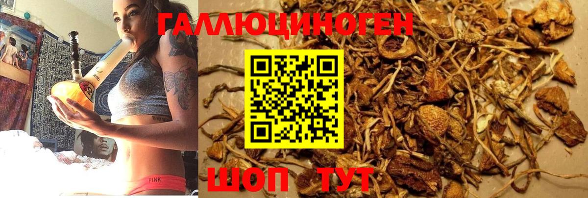 Псилоцибиновые грибы MAGIC MUSHROOMS Лесосибирск