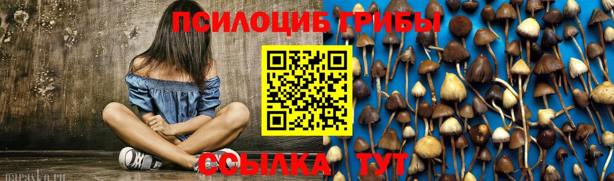 Псилоцибиновые грибы GOLDEN TEACHER  Вход с VPN  Лесосибирск 